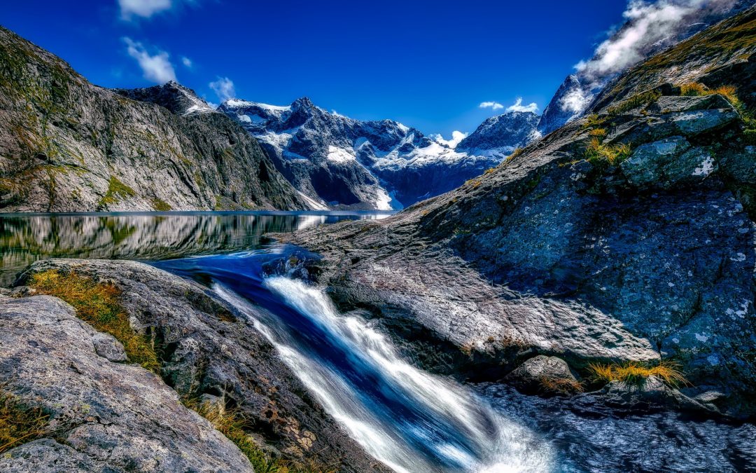 Recognition and Clinical Assessment of the Deteriorating Patient