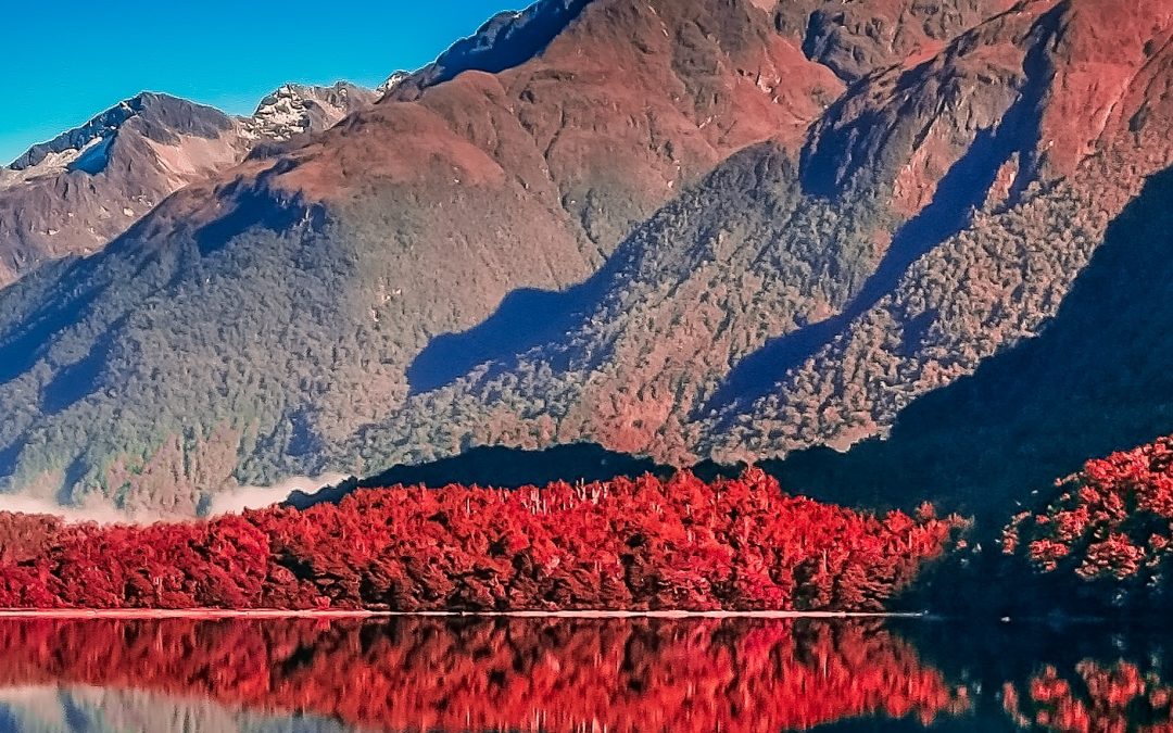 Unravelling the Complexities of Chronic, Hard to Heal and Complex Wounds Conference NZ
